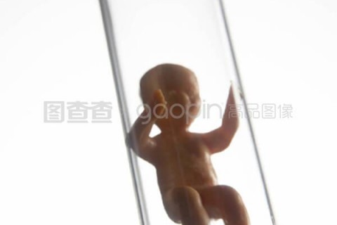 http://changsha.nbgk120.com/post/209.html|长沙捐卵费用