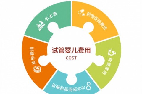 http://changsha.nbgk120.com/post/189.html|长沙捐卵案例